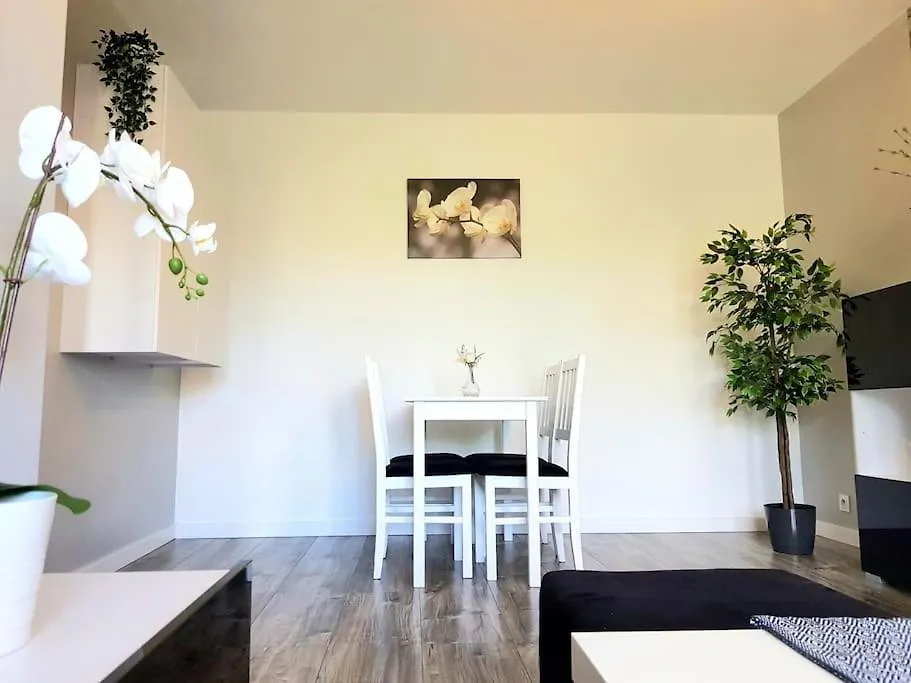 Modern Apartment Capital Downtown 2 Rooms Balcony Krakow Poland